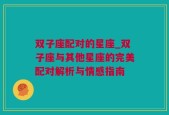 双子座配对的星座_双子座与其他星座的完美配对解析与情感指南