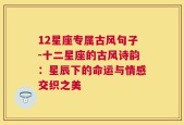 12星座专属古风句子-十二星座的古风诗韵：星辰下的命运与情感交织之美