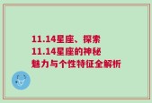 11.14星座、探索11.14星座的神秘魅力与个性特征全解析