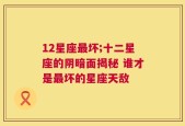 12星座最坏;十二星座的阴暗面揭秘 谁才是最坏的星座天敌