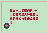 适合十二星座的狗_十二星座专属犬种推荐让你的爱犬与星座完美契合