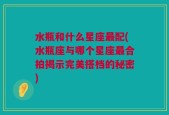 水瓶和什么星座最配(水瓶座与哪个星座最合拍揭示完美搭档的秘密)