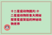 十二星座动物图片;十二星座动物形象大揭秘探索星座背后的神秘动物世界