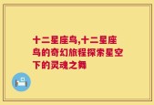 十二星座鸟,十二星座鸟的奇幻旅程探索星空下的灵魂之舞