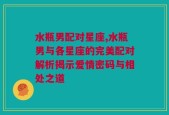 水瓶男配对星座,水瓶男与各星座的完美配对解析揭示爱情密码与相处之道