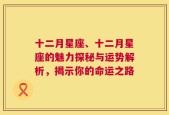 十二月星座、十二月星座的魅力探秘与运势解析，揭示你的命运之路