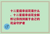 十二星座幸运花是什么、十二星座幸运花全解析让你找到属于自己的花朵守护者