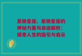 紫微星座、紫微星座的神秘力量与命运解析：探索人生的指引与启示