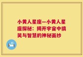 小黄人星座—小黄人星座探秘：揭开宇宙中搞笑与智慧的神秘面纱