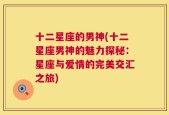 十二星座的男神(十二星座男神的魅力探秘：星座与爱情的完美交汇之旅)