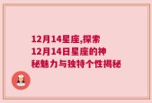 12月14星座,探索12月14日星座的神秘魅力与独特个性揭秘