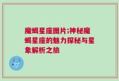 魔蝎星座图片;神秘魔蝎星座的魅力探秘与星象解析之旅