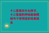 十二星座长什么样子_十二星座的神秘面貌揭秘与个性特征的完美结合