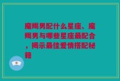 魔羯男配什么星座、魔羯男与哪些星座最配合，揭示最佳爱情搭配秘籍