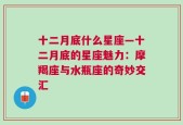 十二月底什么星座—十二月底的星座魅力：摩羯座与水瓶座的奇妙交汇