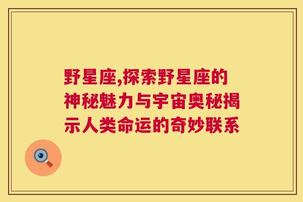 野星座,探索野星座的神秘魅力与宇宙奥秘揭示人类命运的奇妙联系