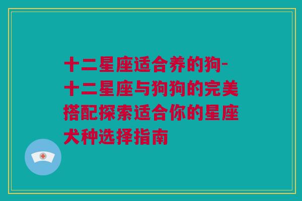 十二星座适合养的狗-十二星座与狗狗的完美搭配探索适合你的星座犬种选择指南