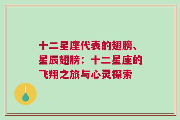 十二星座代表的翅膀、星辰翅膀：十二星座的飞翔之旅与心灵探索