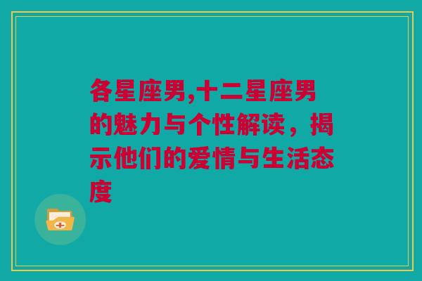 各星座男,十二星座男的魅力与个性解读，揭示他们的爱情与生活态度
