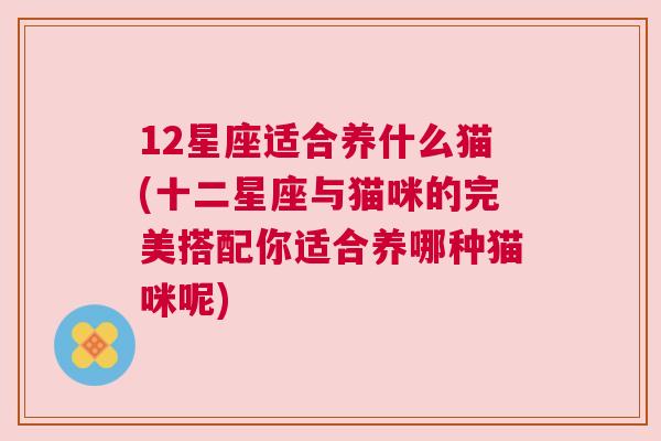 12星座适合养什么猫(十二星座与猫咪的完美搭配你适合养哪种猫咪呢)