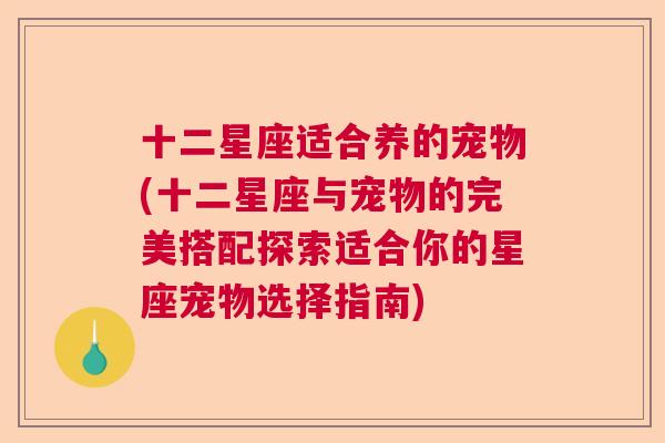 十二星座适合养的宠物(十二星座与宠物的完美搭配探索适合你的星座宠物选择指南)