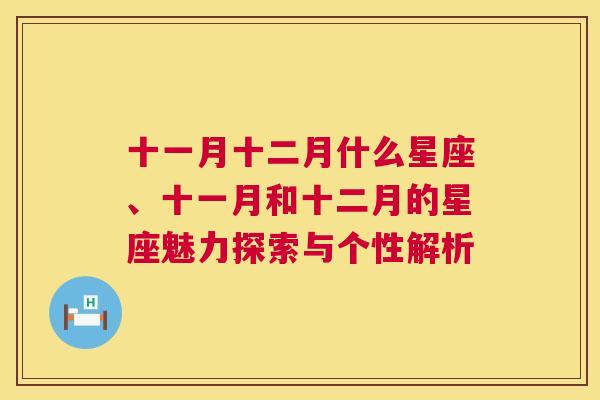 十一月十二月什么星座、十一月和十二月的星座魅力探索与个性解析